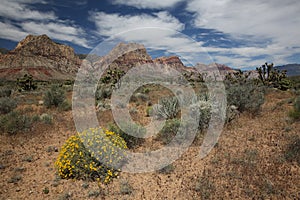 Landscape in Red Rock Canyon, Nevada, USA