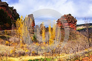 Landscape with red rocks photo