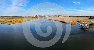 Landscape with reeds in Esmoriz photo