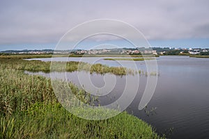 Landscape with reeds from Lagoa de Paramos in Barrinha de Esmoriz, PORTUGAL photo