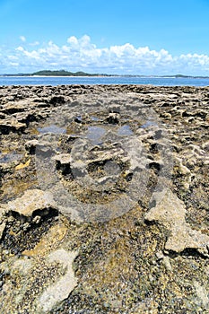 Landscape of reefs with rock formations of the natural pools of Praia dos Carneiros