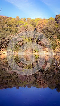 Landscape reflected on a lake