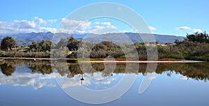 Landscape reflected in the water, Maspalomas photo