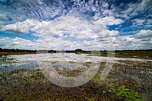 Landscape Reflection Lake