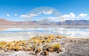 Landscape reflection in The Salar de Aguas Calientes Lagoon, San Pedro de Atacama
