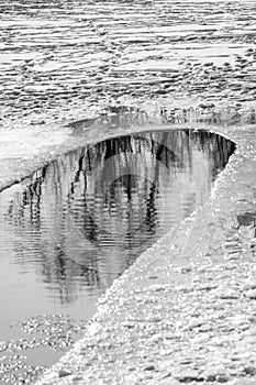 Landscape reflection of trees in the forest in the ice hole on a snowy ice lake, black and white, monochrome