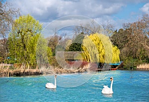 Landscape of Regents park in London