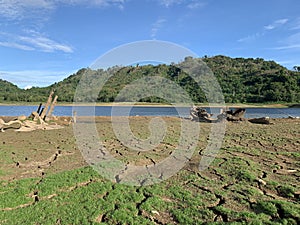 Landscape of reservoir with cracked mud and green grass in summer season