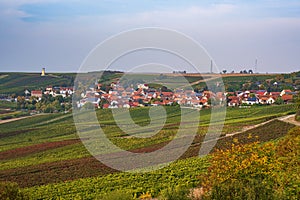 Landscape in Rheinhessen / Germany in autumn