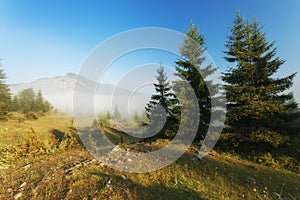 Landscape of Rhodope mountain, Bulgaria