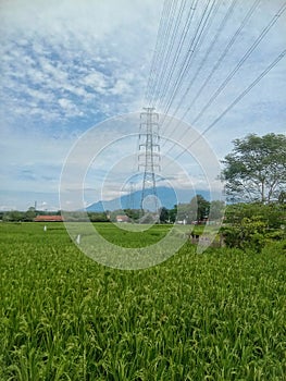 Landscape of rice field, high voltage tower and mountain of Ciremai