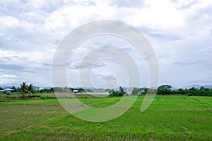 Landscape rice field at the outskirt in the north of Thailand