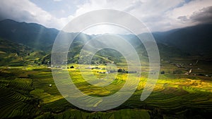 Landscape of rice field in Tule photo