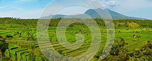 Landscape with rice fields and Agung volcano. Indonesia, Bali