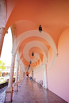 The landscape of Ringling museum at Sarasota in Florida