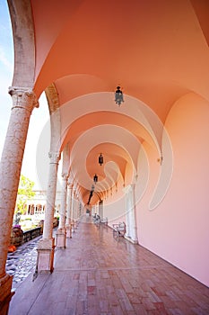 The landscape of Ringling museum at Sarasota in Florida