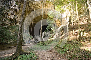 Rio Frio Cave in the Mountain Pine Ridge Forest Reserve in Belize. Central America photo