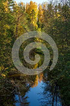 Landscape with a river in the autumn forest