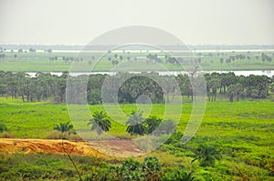 Landscape of the River Congo photo