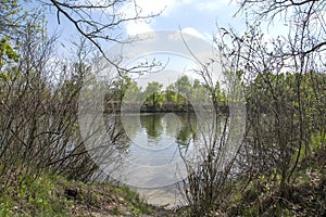 Landscape river, dry, green bushes