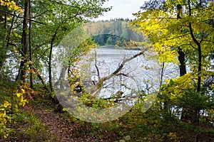 Landscape of river and forest in autumn