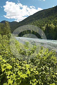 Landscape with river and forest in British Columbia. Canada