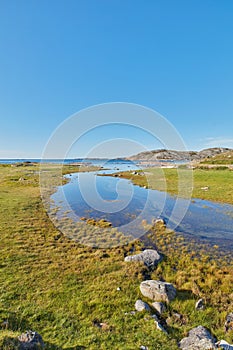 Landscape of river in lush green marsh land against a blue horizon with copy space. Calm swamp by the seaside in summer