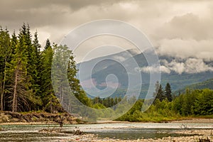 Landscape of a river, mountain and forest, with an eagle in the sky, during a cloudy summer day