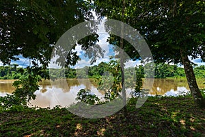 Landscape River Photo of The Suriname River And Green Foliage