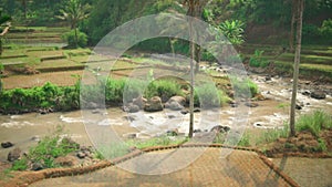 The landscape of the river between the rice field near the green forest inside the village