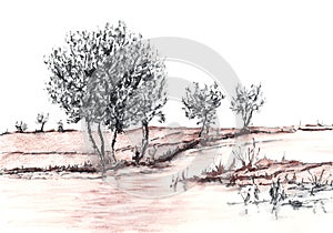 Landscape with river and trees