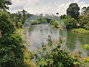 Landscape of river in tropical raiforest.