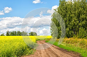 Landscape with the road