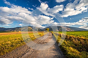 Landscape with a road leading to the mountains