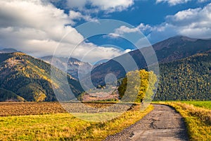 Landscape with a road leading to the mountains