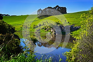 Landscape from the road of Oamaru to Omarama New Zealand