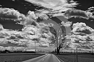 Landscape of the road to town of Fussen near Kirchberg an der Iller in black and white