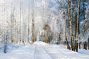 Landscape road in winter