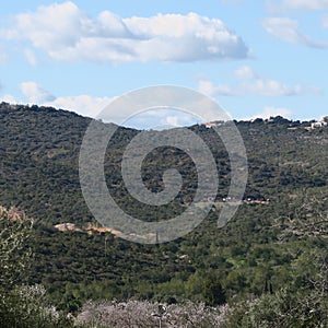 Landscape, road, winter, february, portugal, algarve