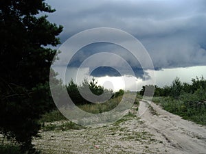 Landscape. The road through the young forest. Dark clouds over the forest.