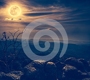 Landscape of rock against blue sky and full moon above wilderness area in forest.