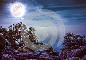 Landscape of rock against sky and full moon above wilderness are