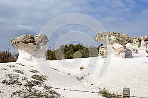 Landscape with Rock formation The Stone Mushrooms near Beli plast village, Kardzhali Region, Bulgaria