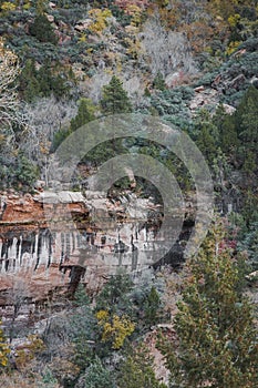 Landscape of rock formations in Zion National Park, Utah