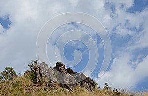 Landscape of rock and grass flower on Khao Lon mountain in Thailand