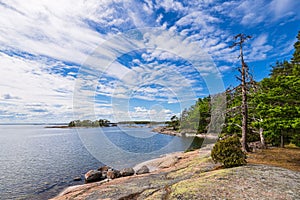 Landscape with rocks and trees near Oskashamn in Sweden