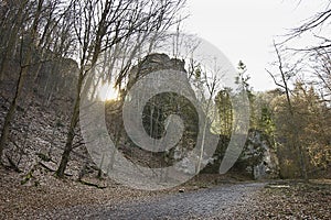 Landscape with rocks and woods