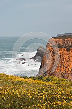 Landscape of rocky cliffs with growing flowers at Zambujeira do Mar, Odemira region, western Portugal. Wandering along the photo