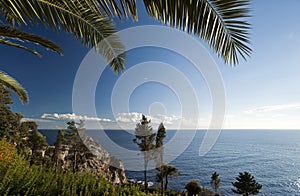 Landscape of a rocky seashore