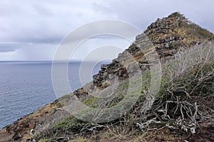 Landscape of rocky shoreline at the Pacific Ocean on Hawaiian island of Oahu, Hawaii, USA